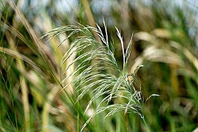 《美女，请别影响我学习》Steam特别好评 今日发售